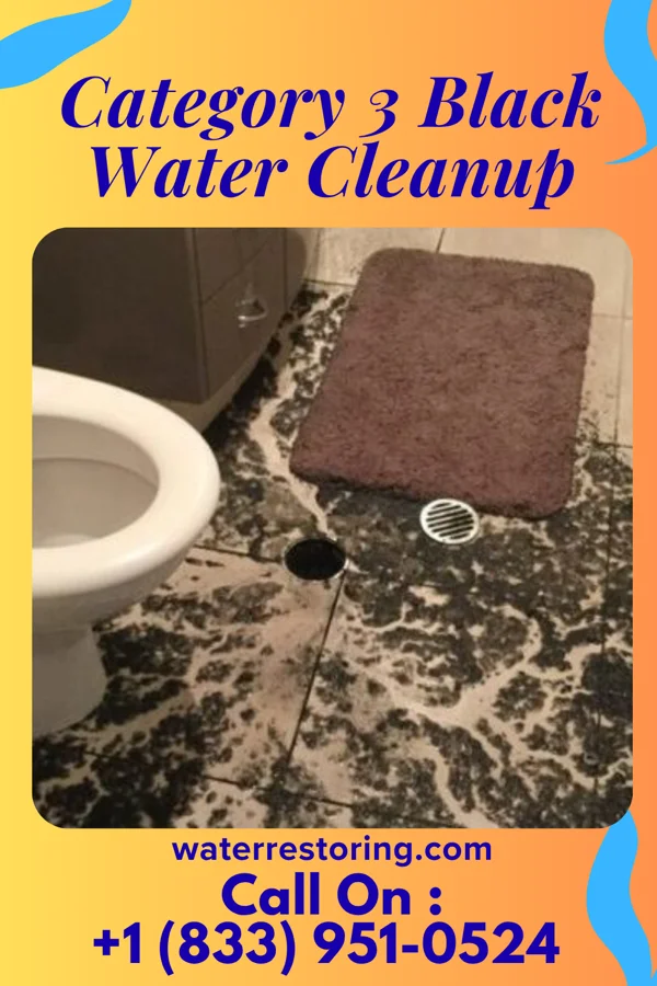 Category 3 Black Water Cleanup in Clever, MO