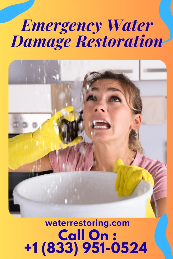 Emergency Water Damage Restoration in Clever, MO