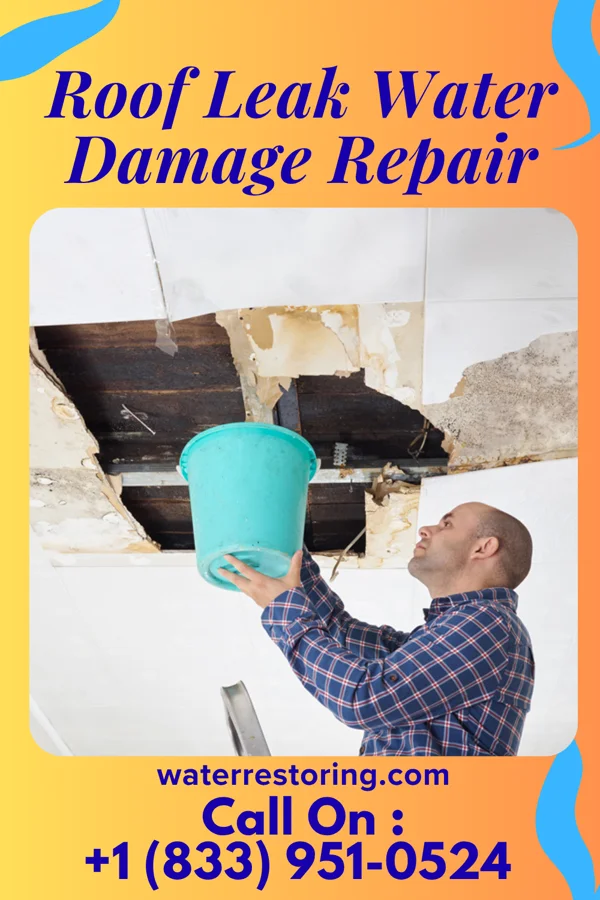 Roof Leak Water Damage Repair in Clever, MO