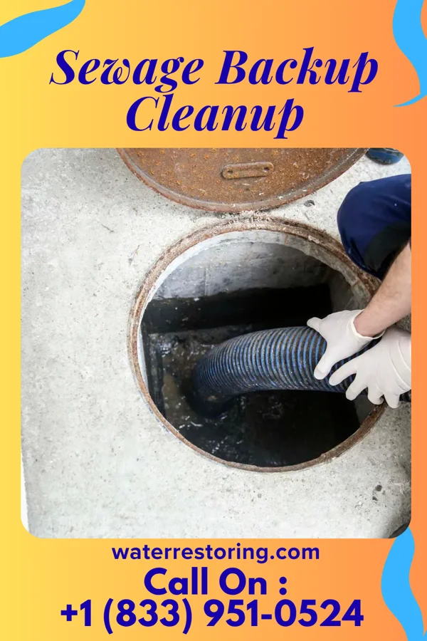 Sewage Backup Cleanup in Clever, MO