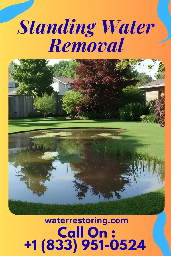 Standing Water Removal in Clever, MO